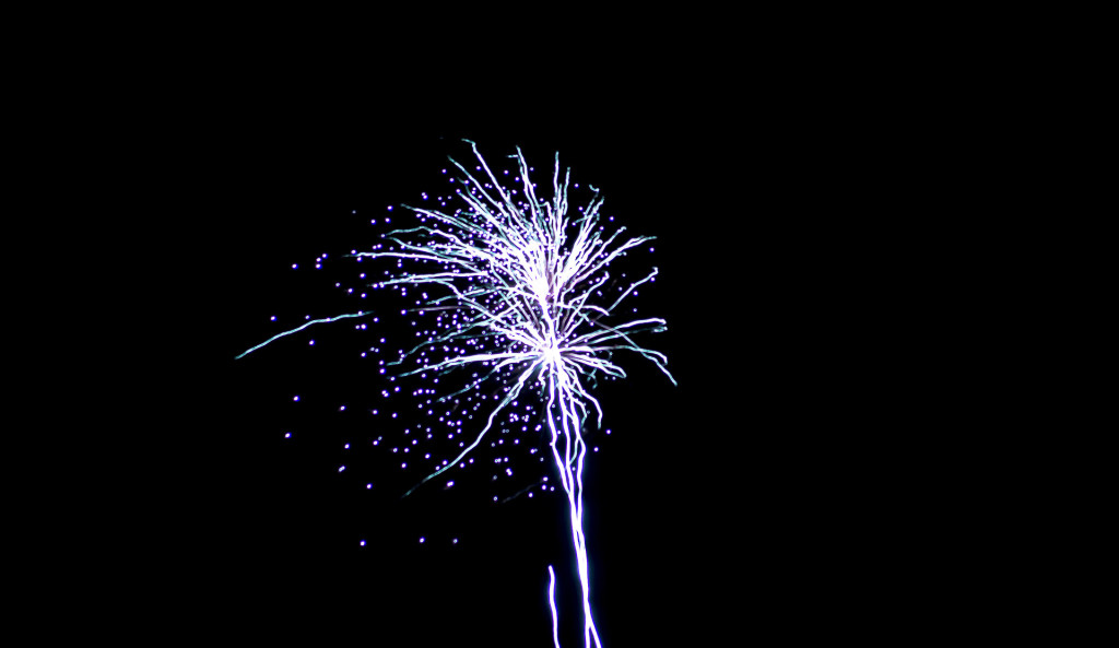 Fireworks_2015-19